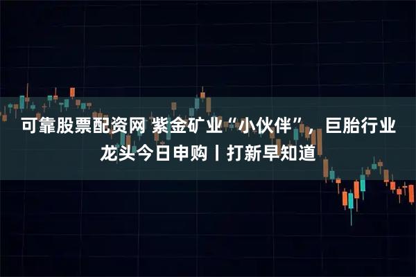 可靠股票配资网 紫金矿业“小伙伴”，巨胎行业龙头今日申购丨打新早知道