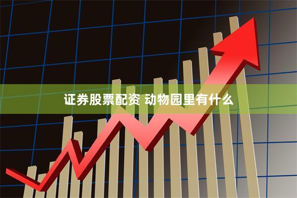证券股票配资 动物园里有什么